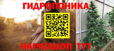 СК Тулун