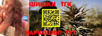 индика Тула