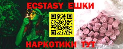 индика Тула