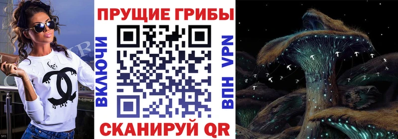 купить наркотик  Радужный  Псилоцибиновые грибы прущие грибы 