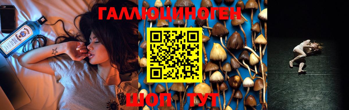 Галлюциногенные грибы Cubensis Радужный