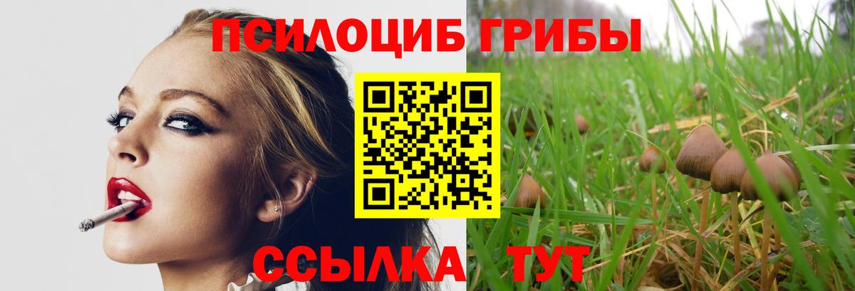 Галлюциногенные грибы Psilocybine cubensis  что такое наркотик  Радужный  Вход с VPN 